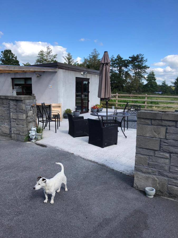ゴールウェイYenooc Houseアパートメント エクステリア 写真